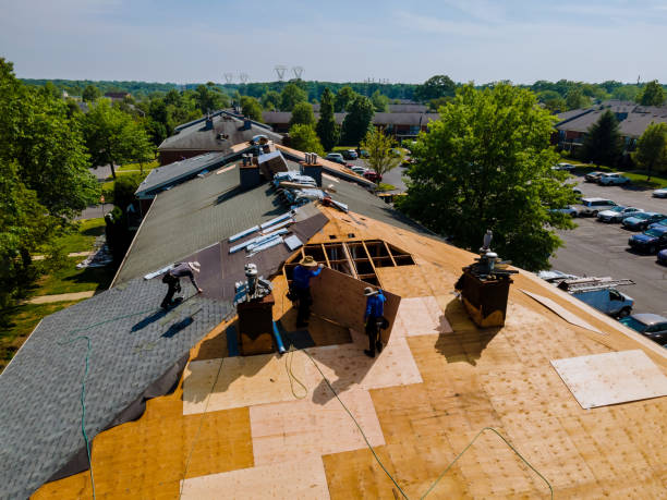 Best Storm Damage Roof Repair  in Lake Cherokee, TX